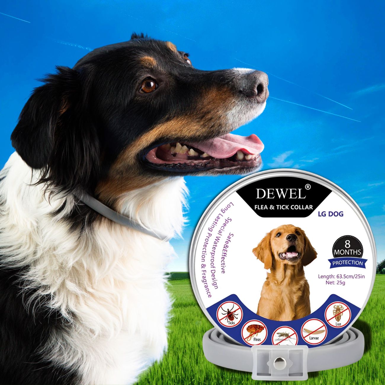 DEWEL™ Best Flea Tick Collar for Dogs (8-Month Protection)
