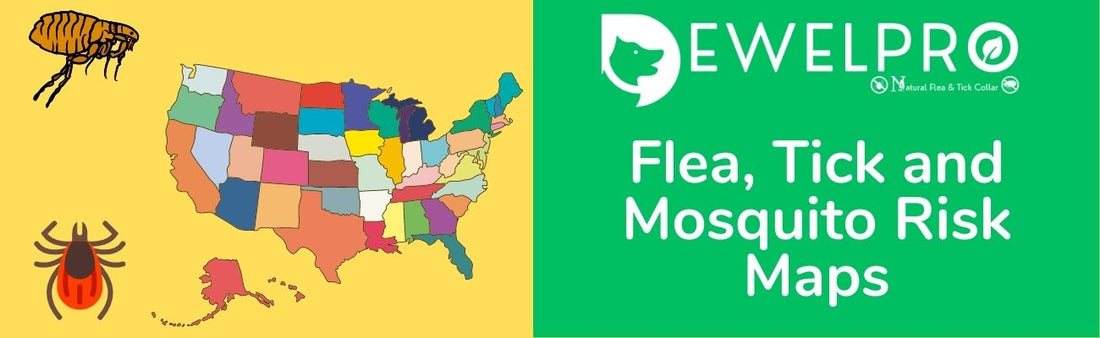 Flea, Tick and Mosquito Risk Maps — Is Your Pet at Risk?