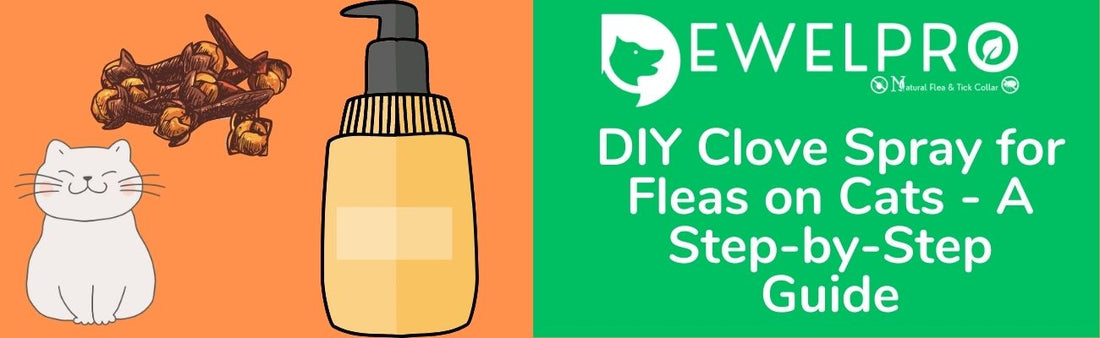 DIY Clove Spray for Fleas on Cats