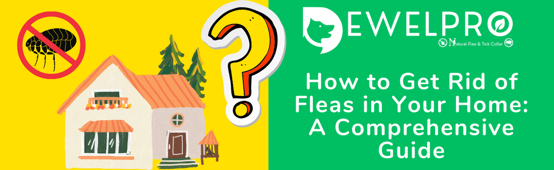 How to Get Rid of Fleas in Home