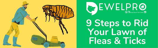 9 Steps to Rid Your Lawn of Fleas & Ticks