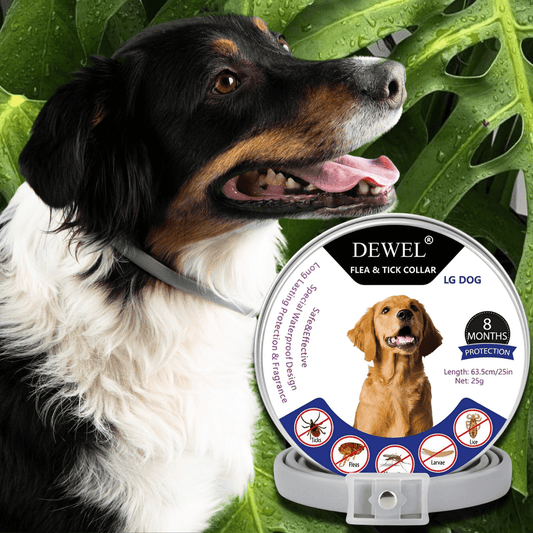Natural Flea & Tick Collar for Dogs (8-Month Protection) — DEWEL™