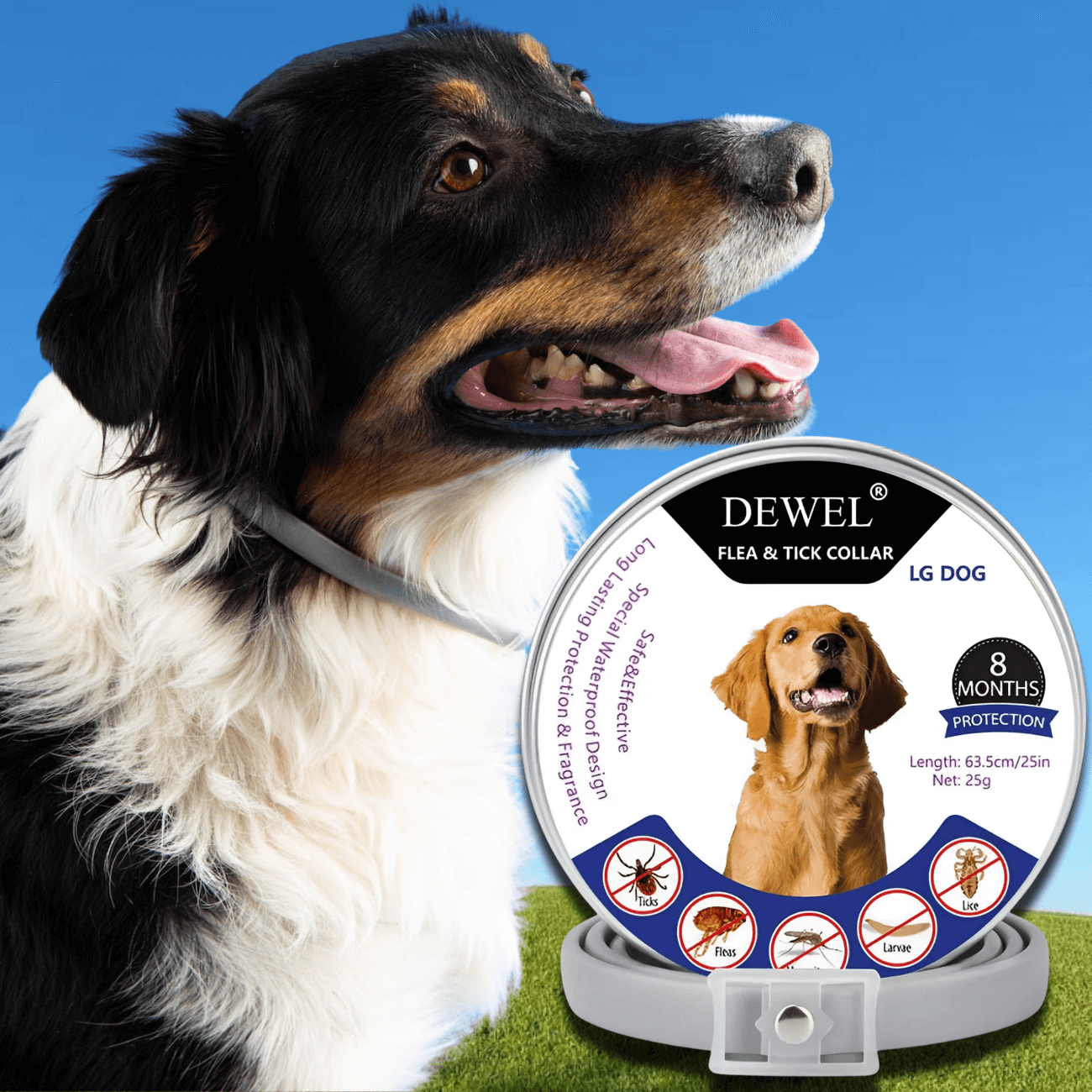 Flea & Tick Collar for Dogs (8-Month Natural Protection) — DEWEL™