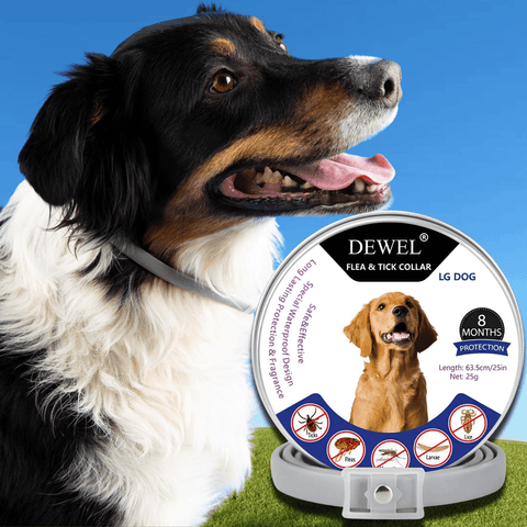 Flea & Tick Collar for Dogs (8-Month Natural Protection) — DEWEL™