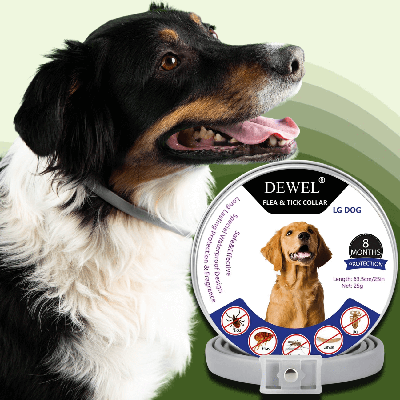 Natural Flea & Tick Collar for Dogs (8-Month Protection) — DEWEL™