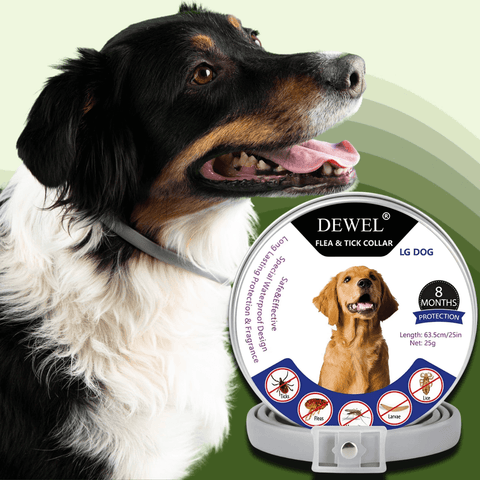 Natural Flea & Tick Collar for Dogs (8-Month Protection) — DEWEL™