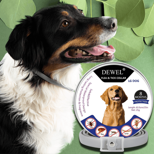 Herbal Flea & Tick Collar for Dogs (8-Month Natural Protection) — DEWEL™