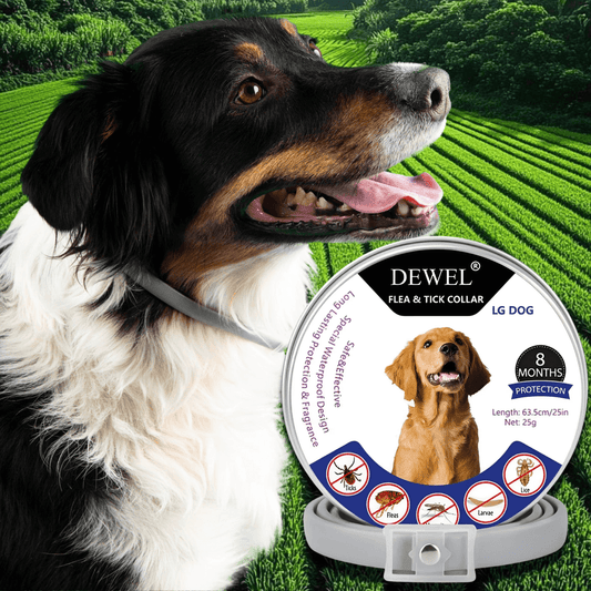 Natural Flea & Tick Collar for Dogs (8-Month Protection) — DEWEL™