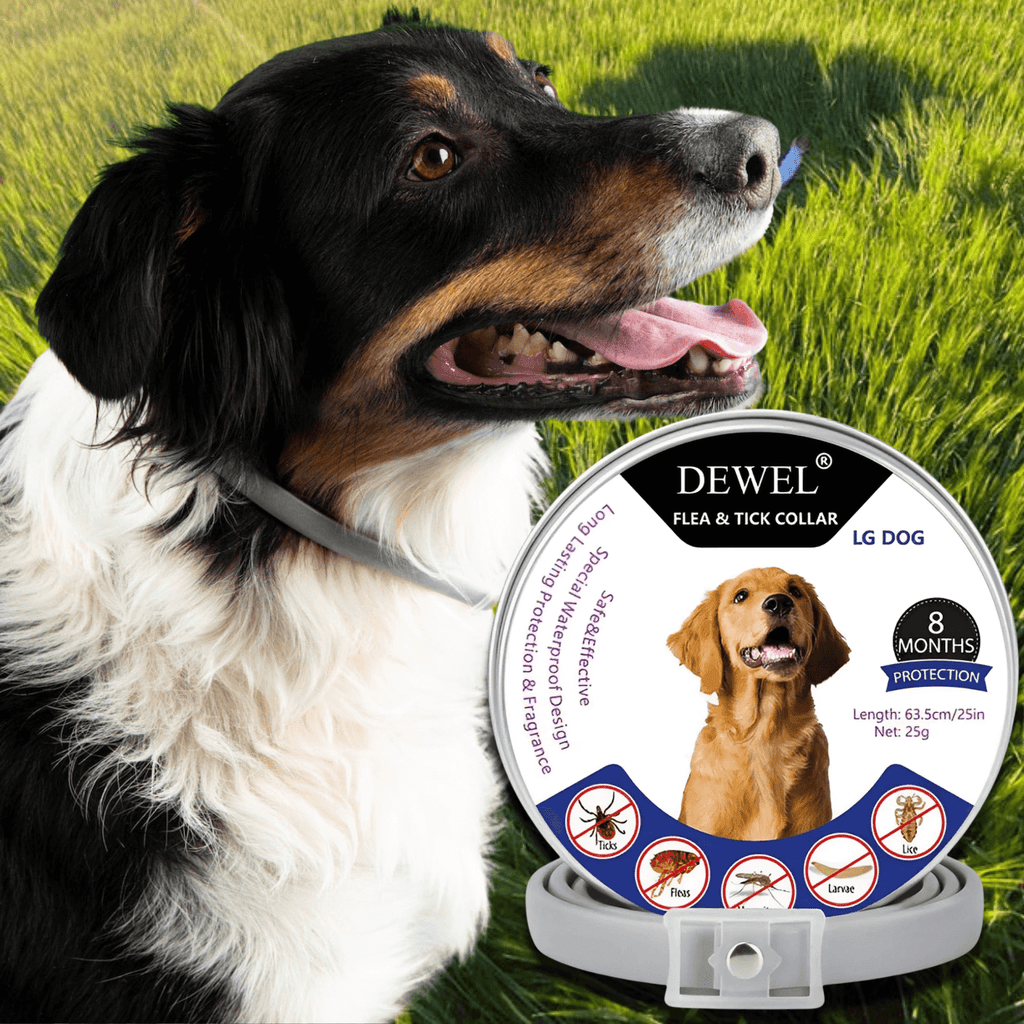 Flea & Tick Collar for Dogs (8-Month Natural Protection) — DEWEL™