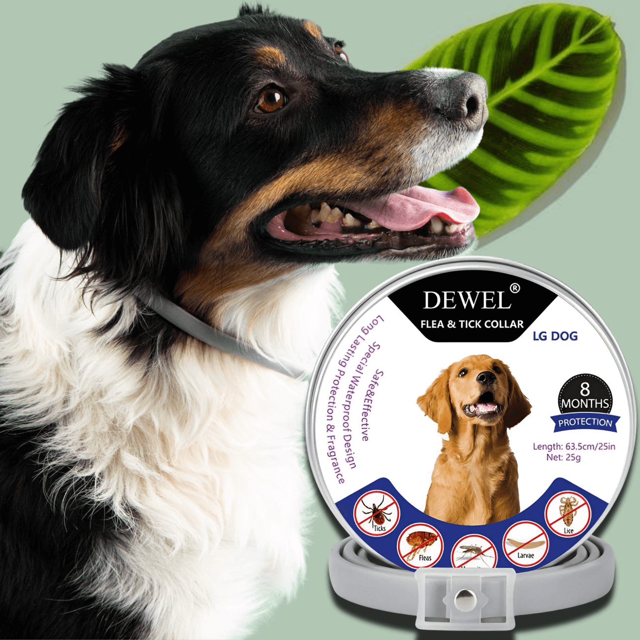 Herbal Flea & Tick Collar for Dogs (8-Month Natural Protection) — DEWEL™