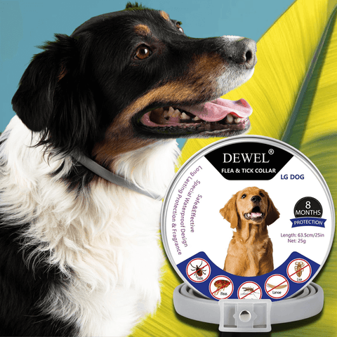 Natural Flea & Tick Collar for Dogs (8-Month Protection) — DEWEL™