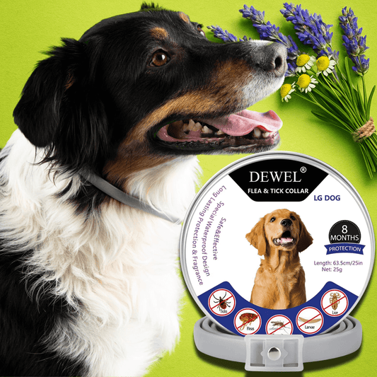 DEWEL™ Flea & Tick Collar for Dogs (8‑Month Natural Protection)