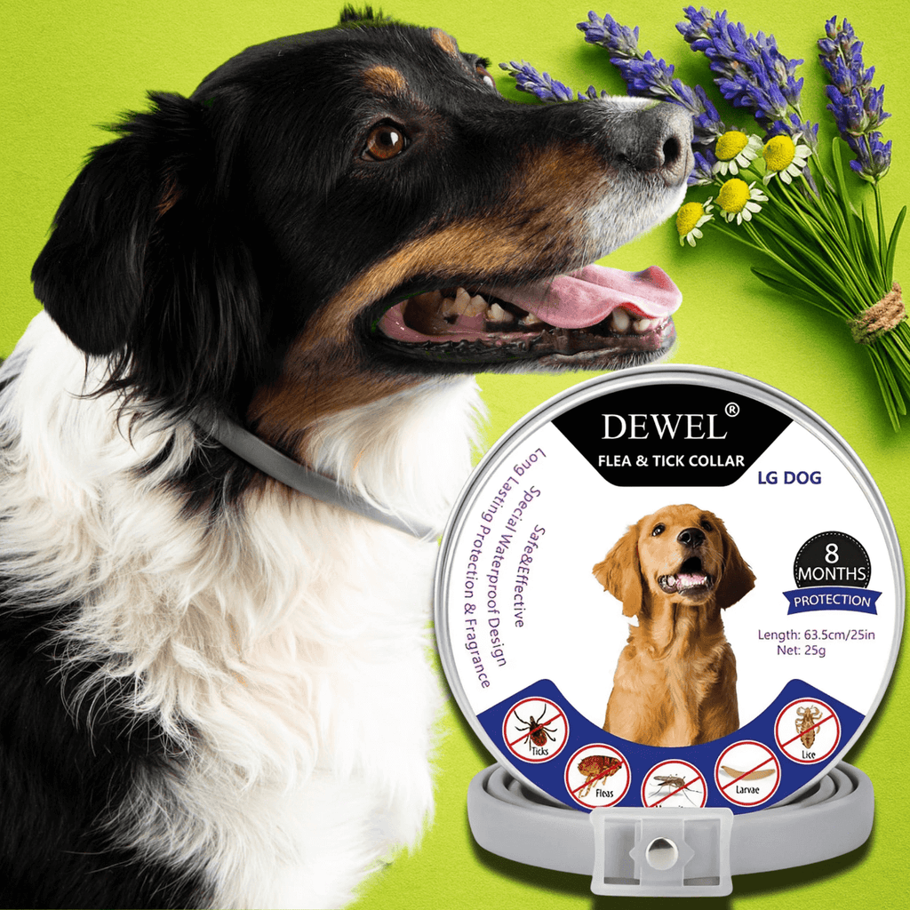 Herbal Flea & Tick Collar for Dogs (8-Month Natural Protection) — DEWEL™