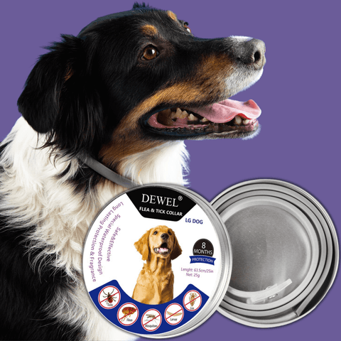 DEWEL™ Flea & Tick Collar for Dogs (8‑Month Protection)
