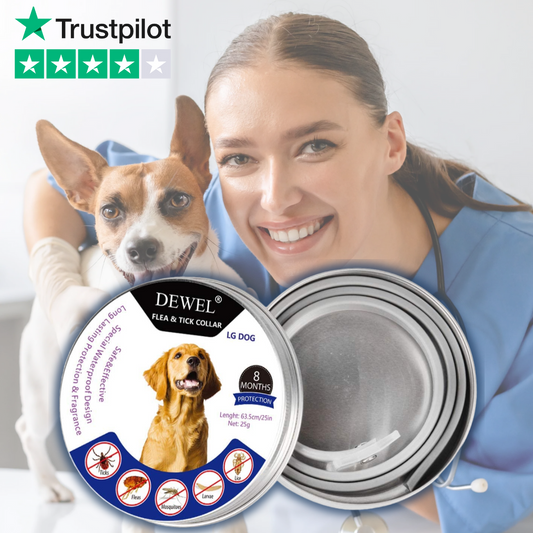 DEWEL™ Natürliches Floh- und Zeckenschutzhalsband für Hunde – von Tierärzten empfohlene, 8-monatige, ungiftige Behandlung für alle Rassen.