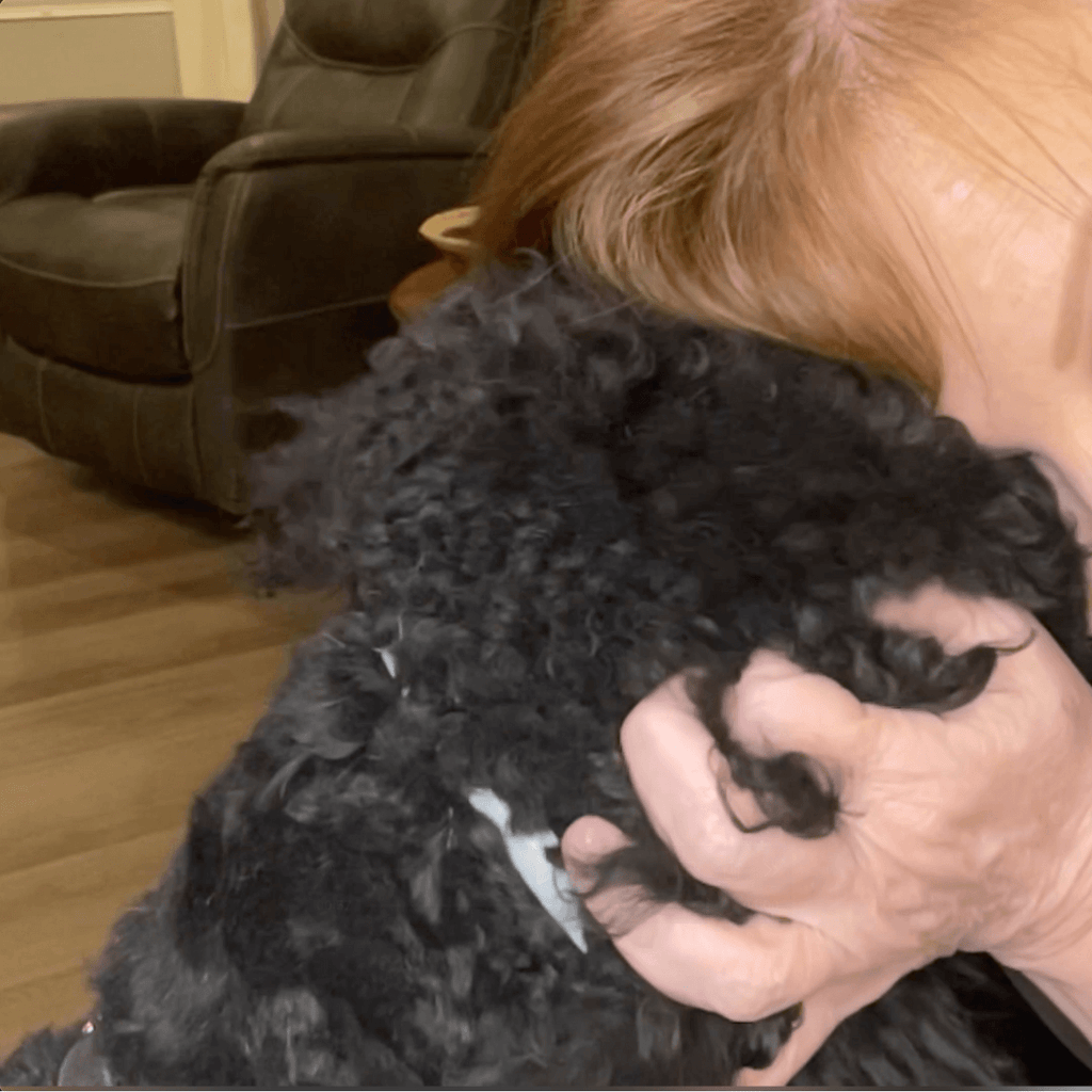 A Dog Mom holding her dog indoors wearing the dewel collar