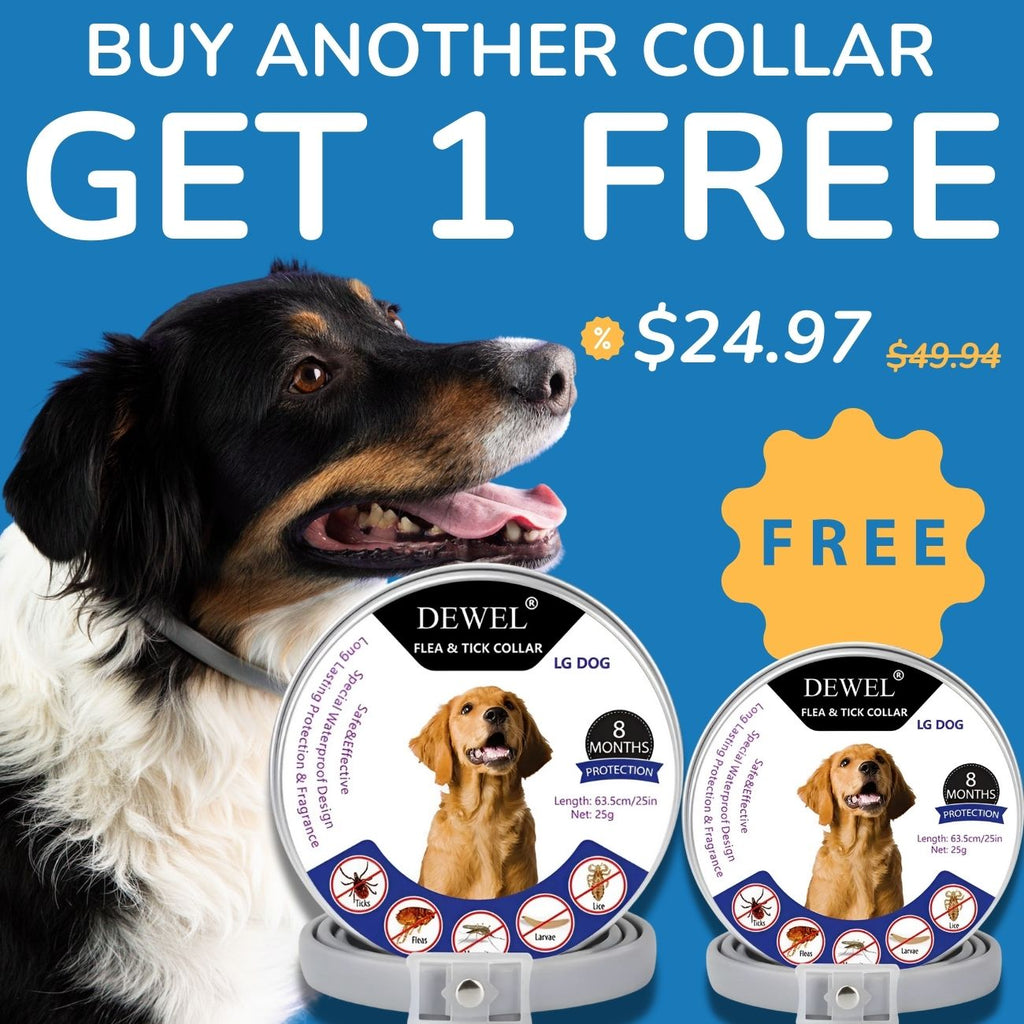 Buy 1, Get 1 FREE for $24.97 (Just $12.48 Each)