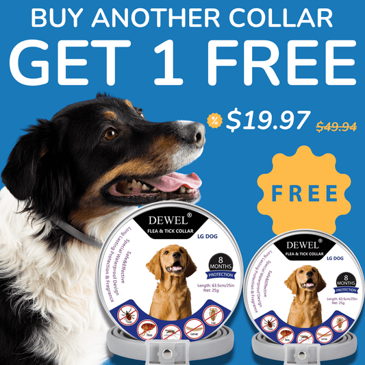 BOGO – DEWEL™ Flea & Tick Collar (Buy 1, Get 1 FREE – 16 Months Protection)