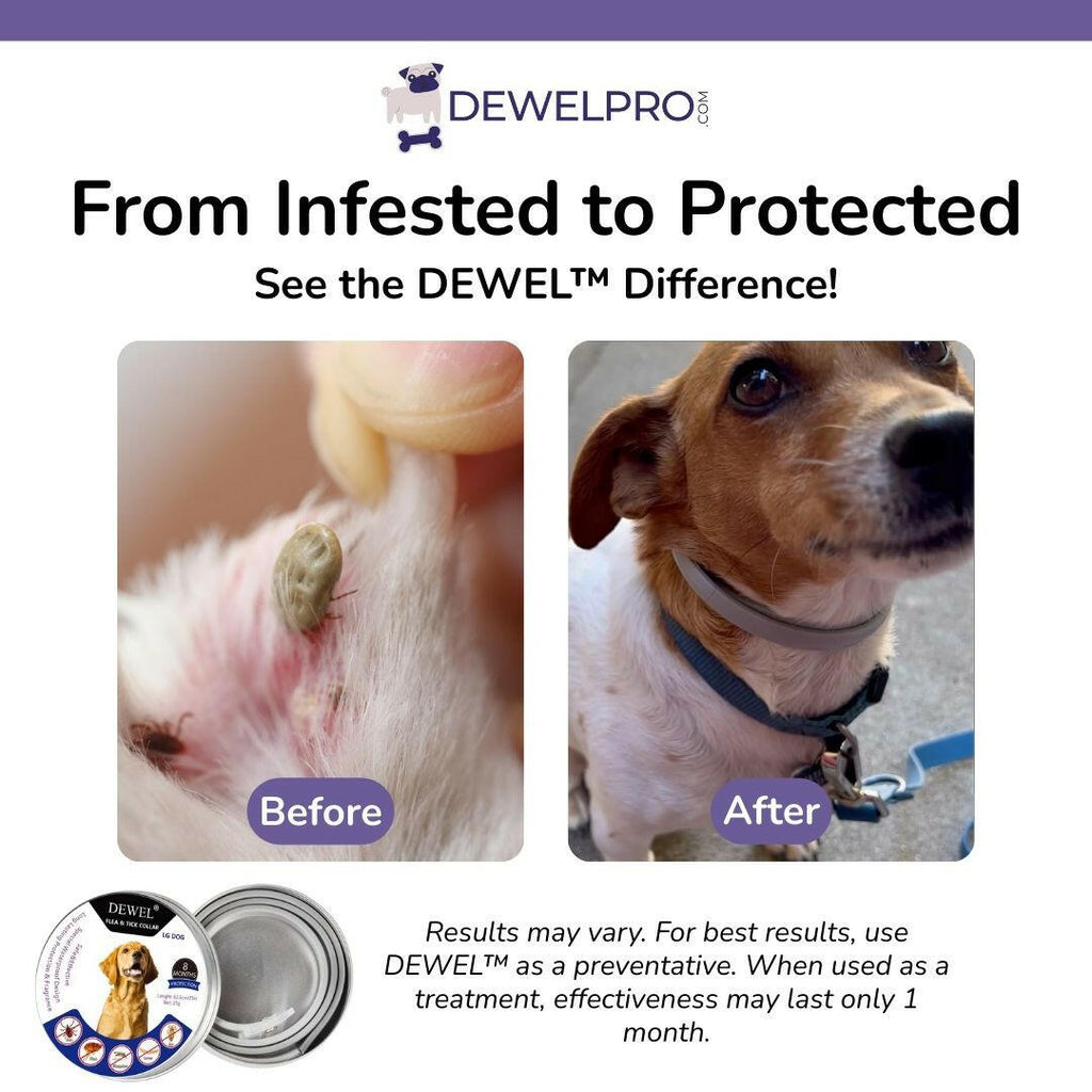 Flea & Tick Collar for Dogs (8-Month Natural Protection) — DEWEL™