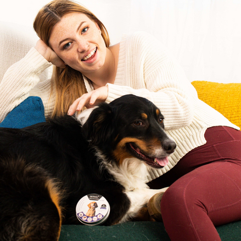 DEWEL™ Natürliches, von Tierärzten empfohlenes Floh- und Zeckenbehandlungs- und Präventionshalsband für Hunde