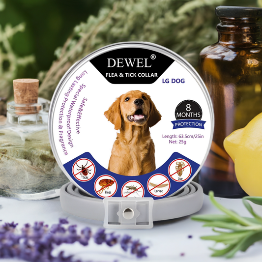 DEWEL™ Fast-Acting Flea Treatment for Dogs – Safe, Effective, and Vet-Approved Solution