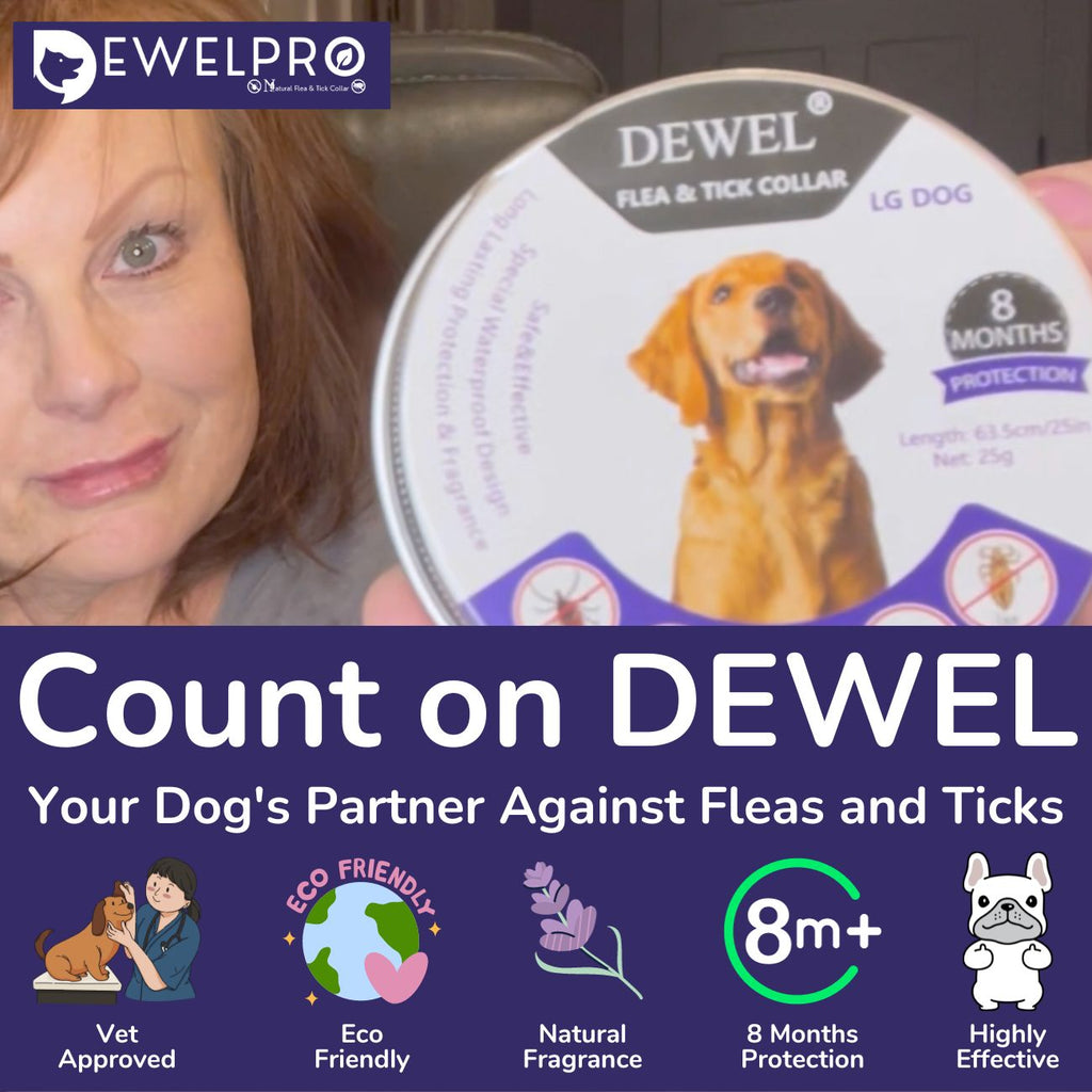 DEWEL™ 8-Month Flea & Tick Protection Collar – Vet-Approved, Non-Toxic Solution for All Breeds!