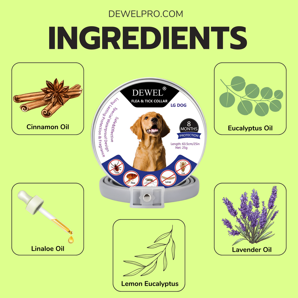 DEWEL™ Best Flea & Tick Collar for Dogs – Vet-Approved, Non-Toxic, 8-Months Natural Protection