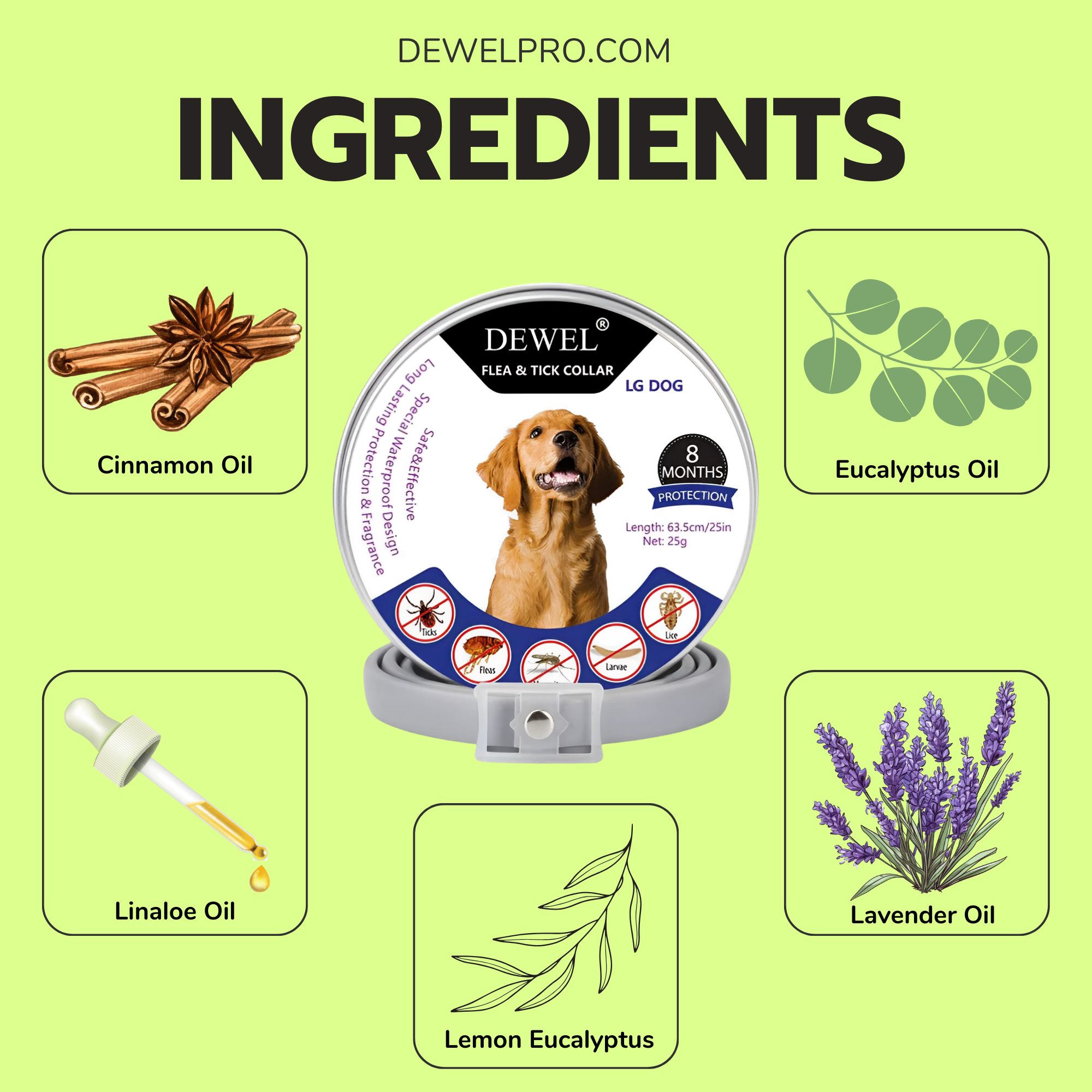 DEWEL™ Best Flea & Tick Collar for Dogs – Vet-Approved, Non-Toxic, 8-Months Natural Protection