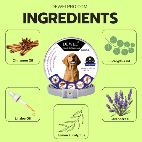 DEWEL™ Best Flea & Tick Collar for Dogs – Vet-Approved, Non-Toxic, 8-Months Natural Protection