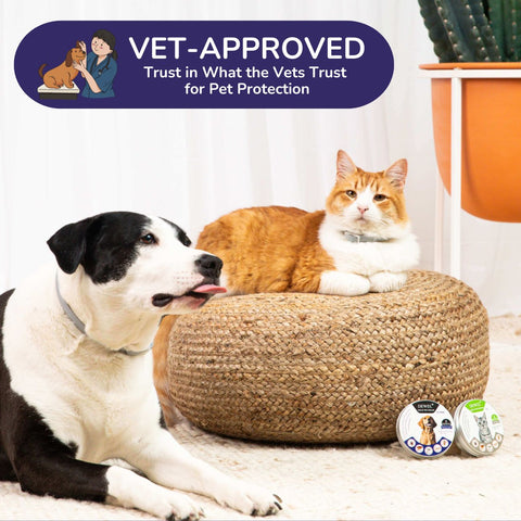 DEWEL™ Flea Collar for Dogs – Natural, Vet-Recommended, Adjustable, Non-Toxic, 8 Months of Tick ProtectionDEWEL™ Flea Collar for Dogs – Natural, Vet-Recommended, Adjustable, Non-Toxic, 8 Months of Tick Protection