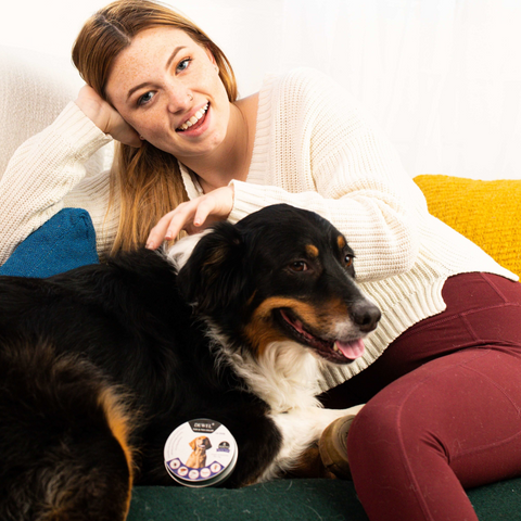 DEWEL™ Non-Toxic Flea & Tick Collar for Dogs | Vet Recommended Natural Tick Protection