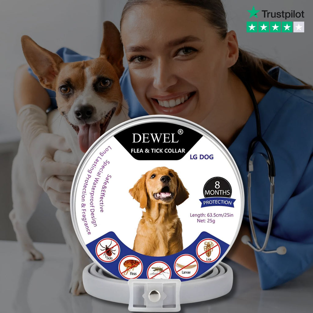 DEWEL™ Small Dog Flea & Tick Collar – Vet-Approved, Non-Toxic, 8-Month Natural Protection
