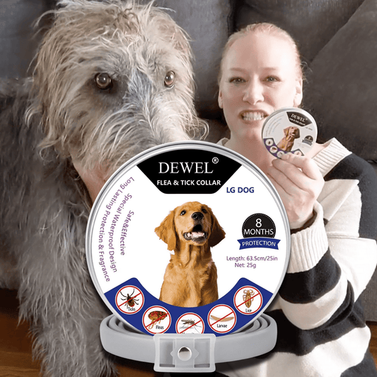 Natural Flea & Tick Collar for Dogs (8-Month Protection) — DEWEL™