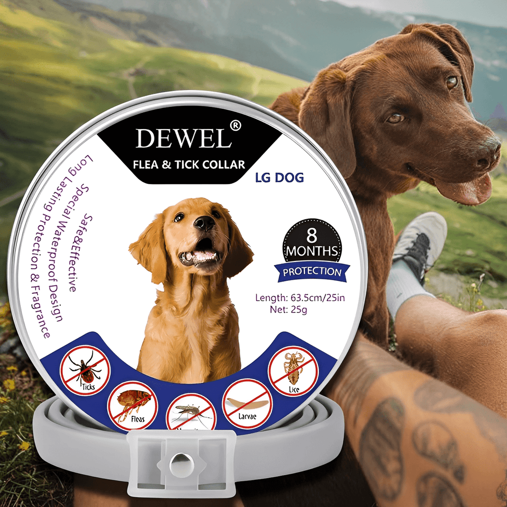 Natural Flea & Tick Collar for Dogs (8-Month Protection) — DEWEL™