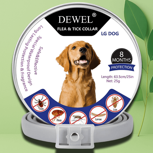 Natural Flea & Tick Collar for Dogs (8-Month Protection) — DEWEL™