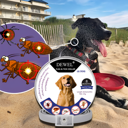 Herbal Flea & Tick Collar for Dogs (8-Month Natural Protection) — DEWEL™
