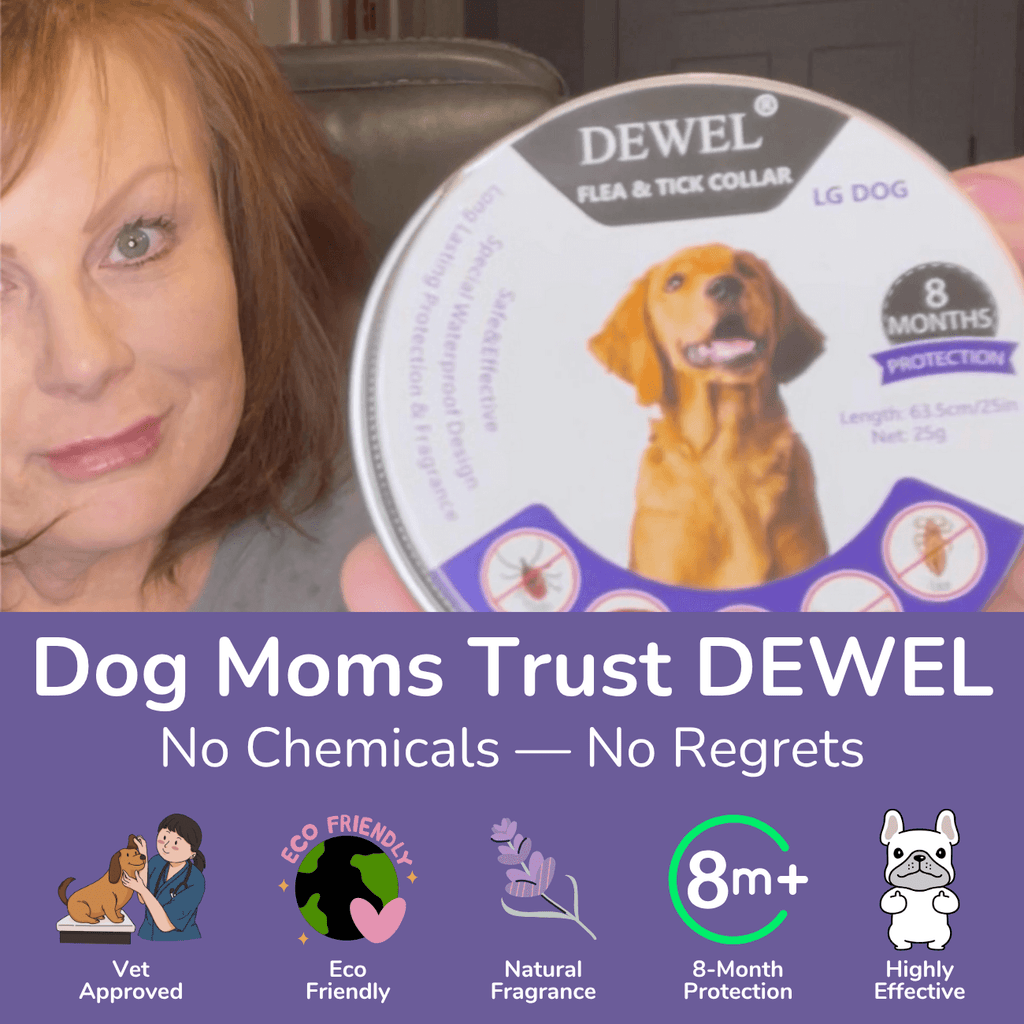 Dom Moms Trust DEWEL — No Chemicals — No Regrets — DEWEL Flea & Tick Collar for Dogs