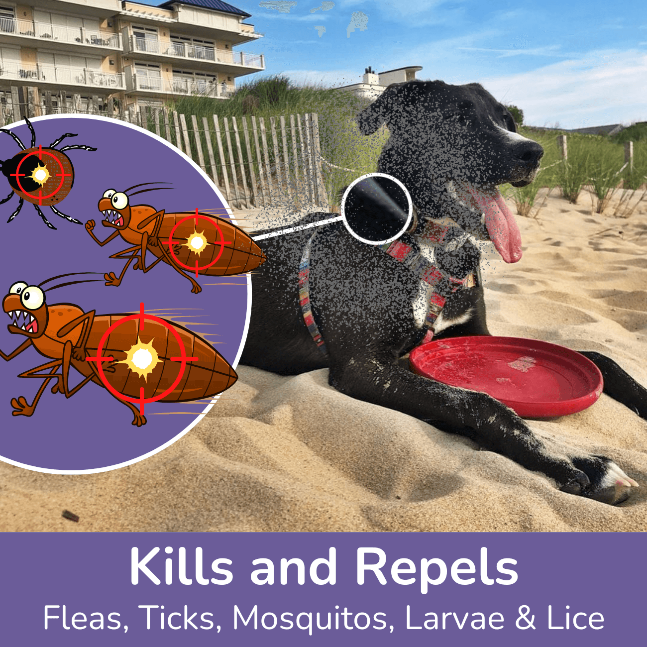 Kills and Repels: Fleas, Ticks, Mosquitoes, Larvae & Lice — DEWEL Flea & Tick Collar for Dogs