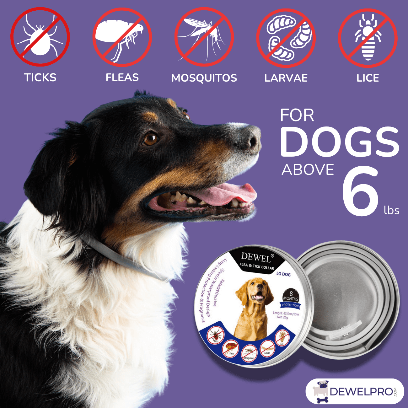 For Dogs above 6 lbs— DEWEL Flea & Tick Collar for Dogs