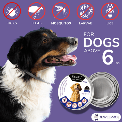 For Dogs above 6 lbs— DEWEL Flea & Tick Collar for Dogs