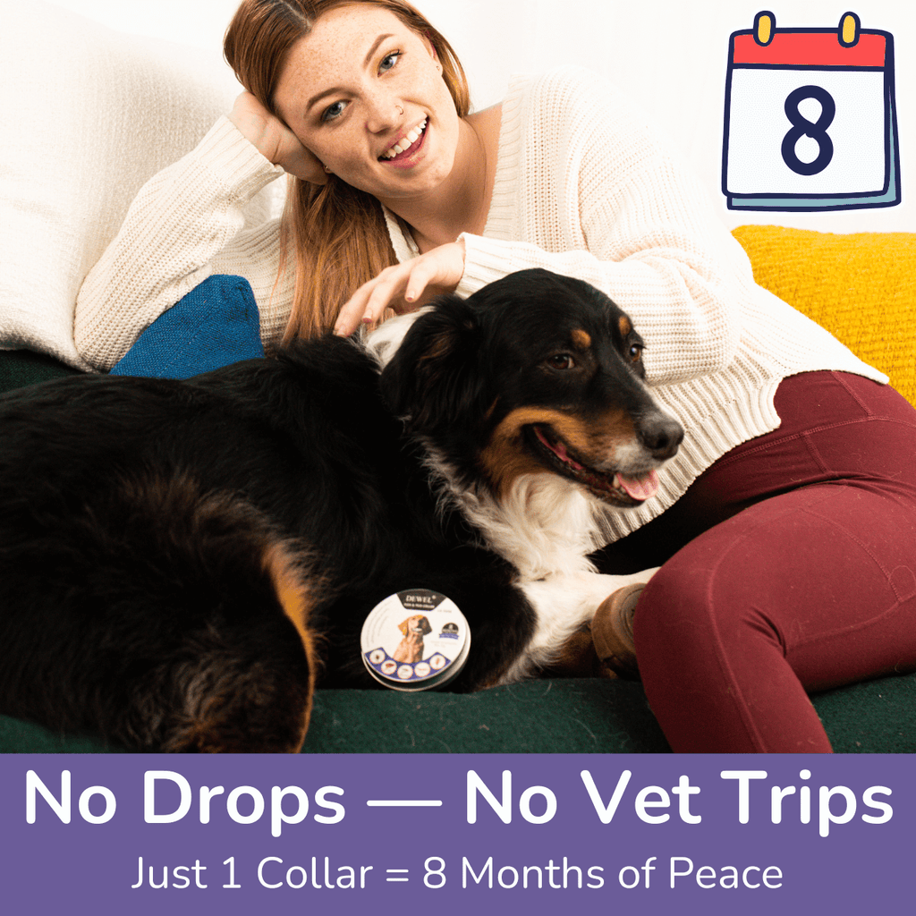 8-Month Protection — DEWEL Flea & Tick Collar for Dogs  