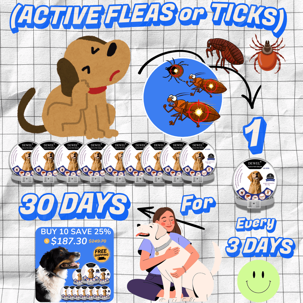 Herbal Flea & Tick Collar for Dogs (8-Month Natural Protection) — DEWEL™
