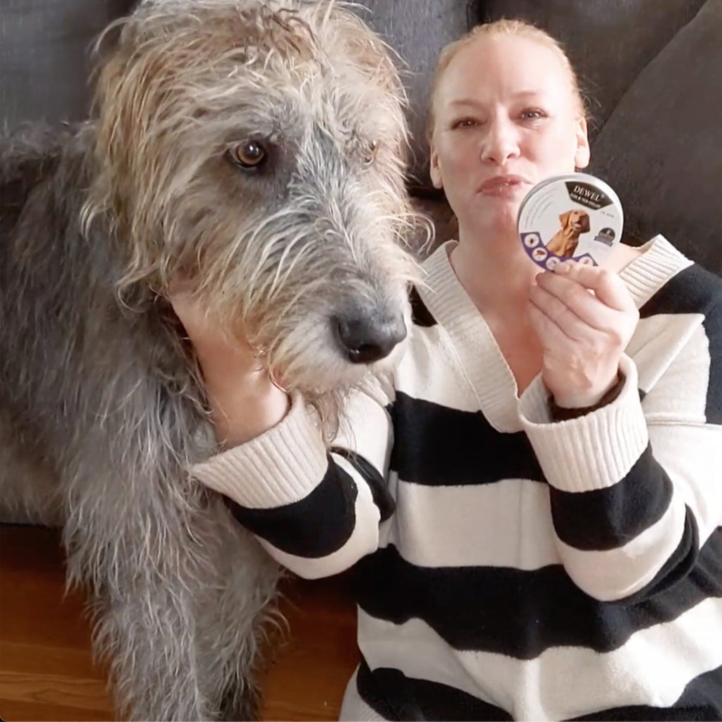 DEWEL™ Safe Flea & Tick Collar for Dogs – Vet-Approved, Non-Toxic Protection for Peace of Mind!